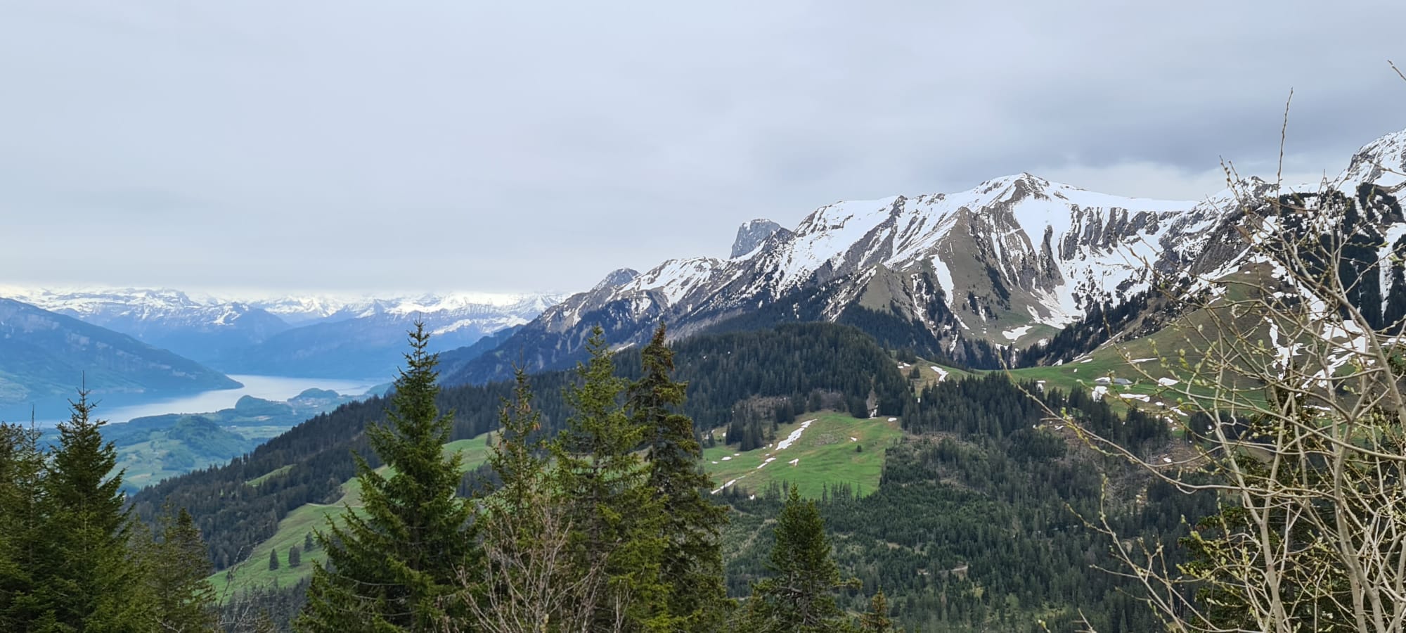 IMG-20210524-WA0017