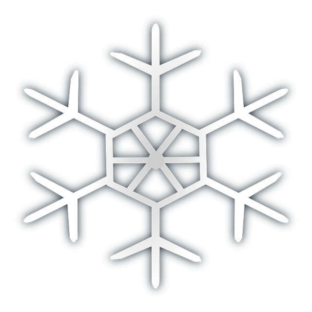 étoile neige 2