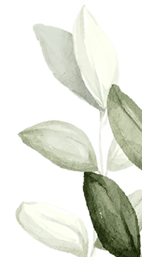 branch-2