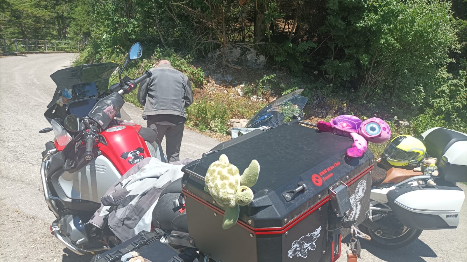 Première sortie “Peluches”